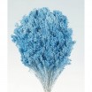 Brooms seco 100gr 50cm azul cielo