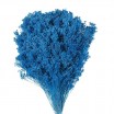 Brooms seco 100gr 50cm azul cielo +