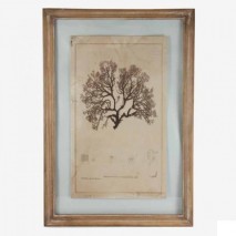 Cuadro motivo "árbol de mar" marco madera natural 40x1,8x58 cm