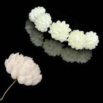 Bolsa de 6 unidades Flor crisantemo 3,5 cm crudo