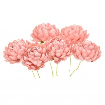 Bolsa de 6 unidades Flor crisantemo 3,5 cm rosa nude