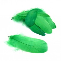 Bolsa pluma oca 15-20cm x 20 aprox. verde