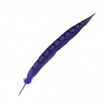 Pluma faisán lady amherst de lado 20-30cm azul tinta