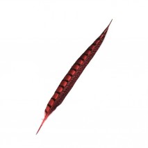 Pluma faisan lady amherst de lado 31-47 cm rojo