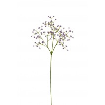 Gypsophila spray x 3 morada