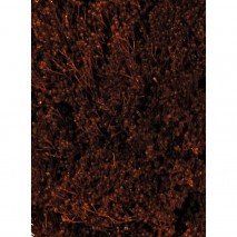 Brooms seco 100gr 50cm marrón oscuro