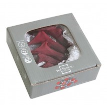 Caja 5 calas preservada cabeza D. 3-4 CM A.8-10 cm burdeos