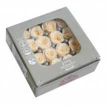 Caja 16 rosas preservada cabeza d. 2,5cm princesa champage