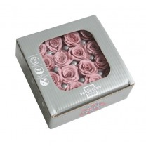 Caja 16 rosas preservadas cabeza d. 2,5cm princesa flor cerezo (cherry blosson)