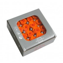 Caja 16 rosas preservada cabeza d. 2,5cm princesa naranja