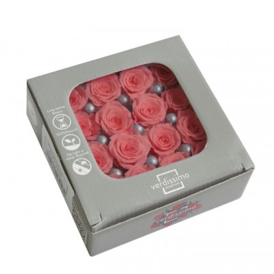Caja 16 rosas preservadas cabeza d. 2,5cm princesa rosa nupcial