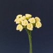 Pomito flor mini foam rosita x 10 amarillo