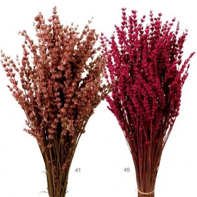 Lavanda preservada 150 g fucsia