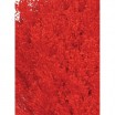 Brooms seco 100gr 50cm rojo