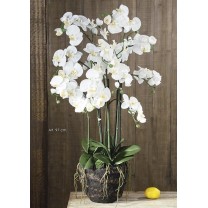 Planta artificial orquídea x 6 vara base natural 97cm crema