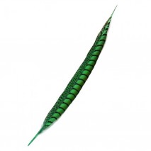 Pluma faisan lady amherst de lado 31-47 cm verde