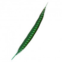 Pluma faisán lady amherst de lado 31-47cm verde