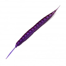 Pluma faisan lady amherst de lado 31-47 cm morado