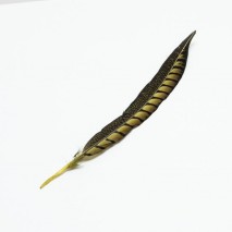 Pluma faisan lady amherst de lado 31-47 cm dorado