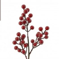 Vara berry 35cm rojo