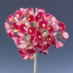 Pomito flor mini papel miosotis rojo