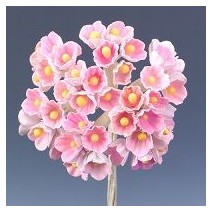 Pomito flor mini papel miosotis rosa