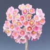 Pomito flor mini papel miosotis rosa