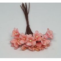 Pomito flor mini tela margarita d.1,70 cm x 12 melocotón