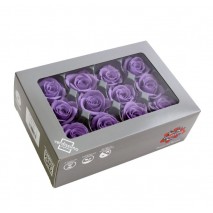 Caja 12 rosas preservada cabeza d. 3,5 cm lila