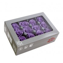 Caja 12 rosas preservadas cabeza d. 3,5cm lila