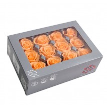 Caja 12 rosas preservada cabeza d. 3,5 cm salmón