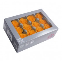 Caja 12 rosas preservada cabeza d. 3,5 cm naranja