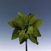 Pomito flor mini tela hojas 4,5cm x 12 verde