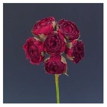 Pomito flor mini tela mini rosa d.2,3cm x 6 poli 24 rojo