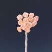 Pomito flor mini tela rosita raso mini d.0,6cm x 12 salmón