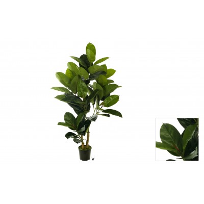 Planta   ficus rubber 120 cm c/maceta