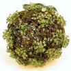 Bola d.20cm mimbre rústico con flores mini verde