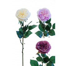 Rosa  inglesa d.9 cm 1047 burdeos