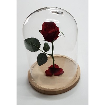 Cúpula o urna cristal c/base madera alt.30 cm d.21,50 cm c/rosa eterna
