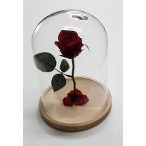 Cúpula o urna cristal c/base madera alt.30cm d.21,50cm c/rosa eterna