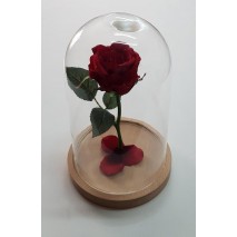 Cúpula o urna cristal c/base madera alt.23 cm d.17,5 cm c/rosa eterna