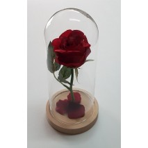 Cúpula o urna cristal c/base madera alt.26 cm d.12,80 cm c/rosa eterna