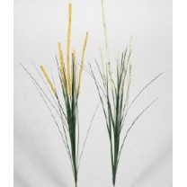 Hierba oso gramineada x 5 tallos Alt.66cm crema/amarilla surtidas
