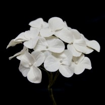 Pomito flor mini papel hortensia 2,5cm x 12 blanco roto