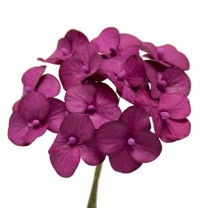Pomito flor mini papel hortensia 2,5cm x 12 buganvilla