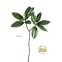 Vara hojas magnolio + brote supernatural 76cm verde
