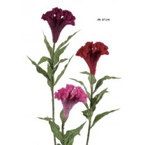 Celosia 67cm Rojo