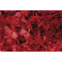 Esponja para flor seca y preservada plancha 100x33x5cm