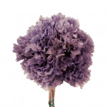 Pomo Hortensia preservada c/tallo  lila lavado