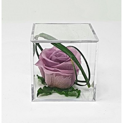Cabeza de rosa preservada d. 4,5 cm en caja metacrilato 6 x 6 x 6 cm lila